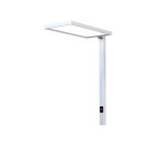 LED Office Daybreak Sensor 80W